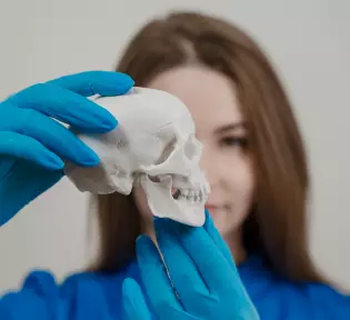 Gnathology